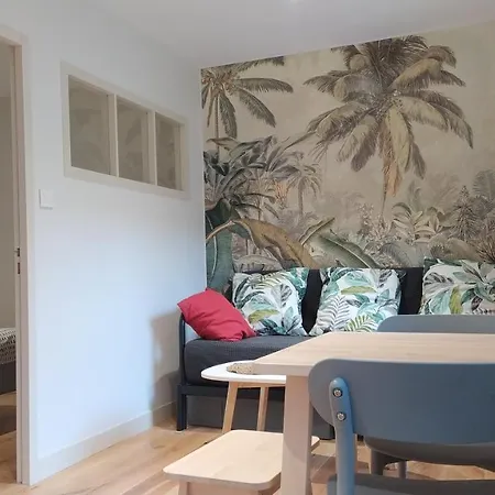 Appartement Renove 1 Chambre Centre Historique Bordeaux Buitenkant foto