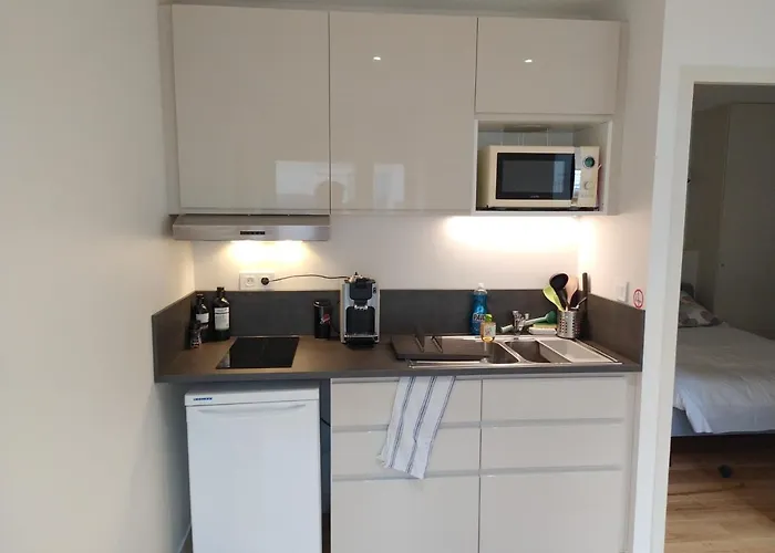 Appartement rénové centre historique