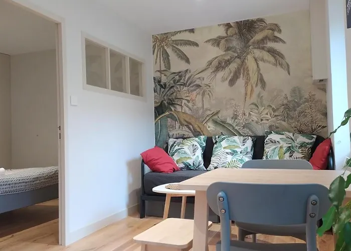 Appartement rénové centre historique