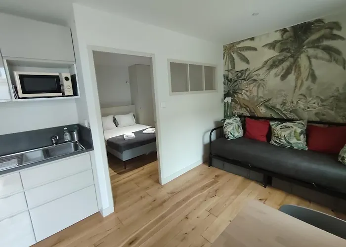 Appartement Renove 1 Chambre Centre Historique